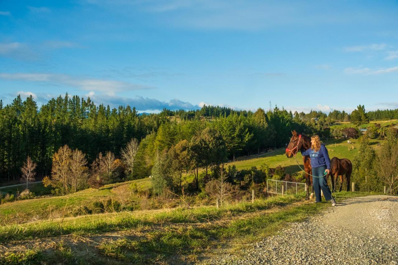 Countryview Haven Villa Tasman Buitenkant foto